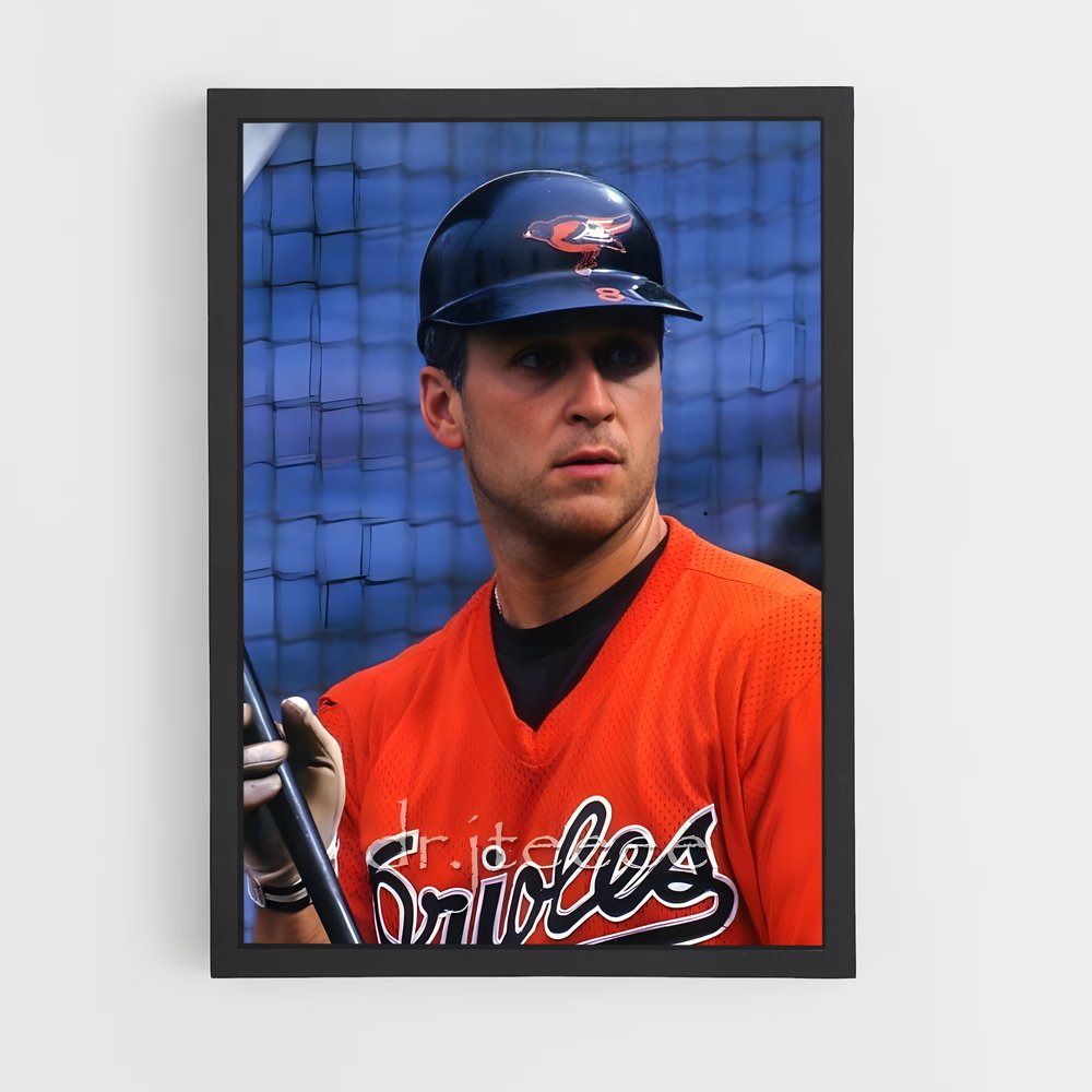 Poster Le Maître du Baseball (vue 2)
